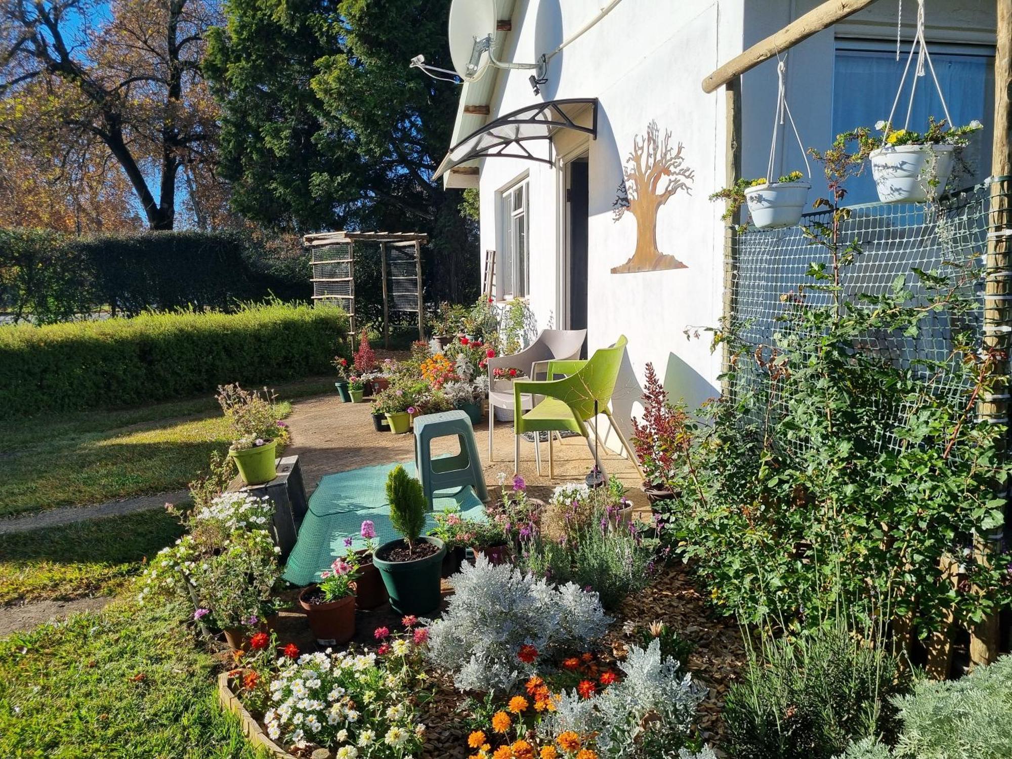 The Cottage On The Corner 히머빌 외부 사진